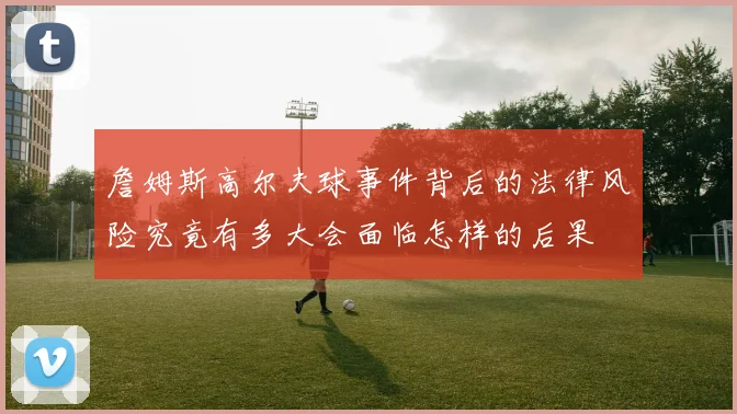 詹姆斯高尔夫球事件背后的法律风险究竟有多大会面临怎样的后果