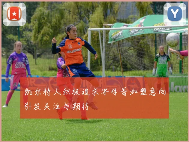 凯尔特人积极追求字母哥加盟意向引发关注与期待